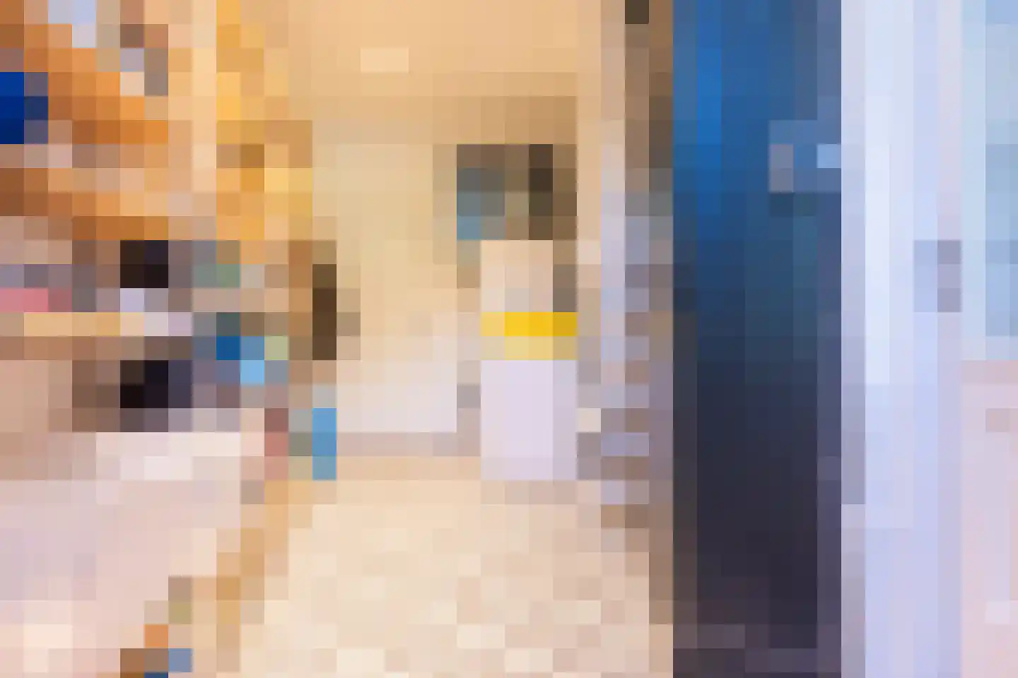 Burgemeestersplein 3 Arnhem thumbnail 37