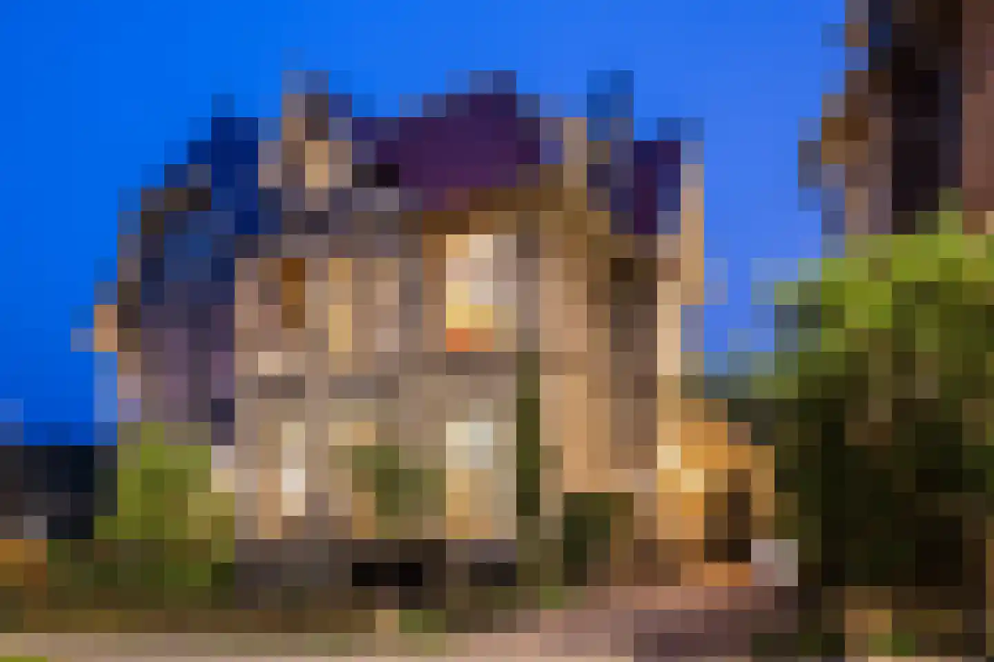 Burgemeestersplein 3 Arnhem thumbnail 4