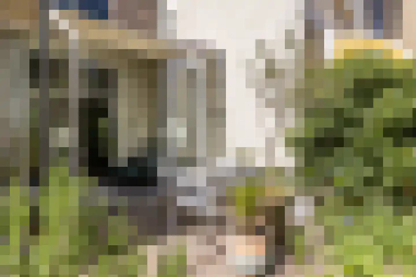 Burgemeestersplein 3 Arnhem thumbnail 70