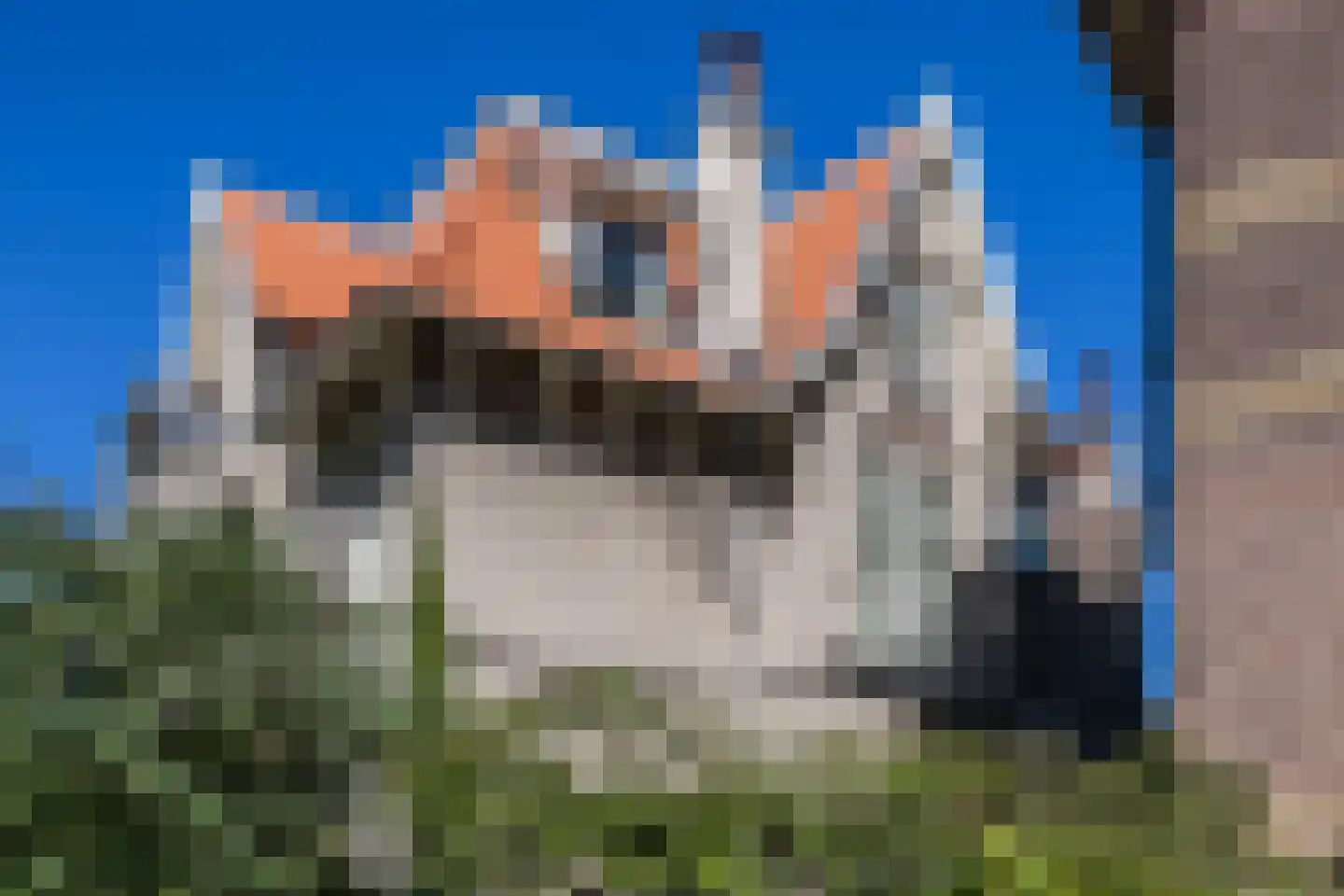 Burgemeestersplein 3 Arnhem thumbnail 74