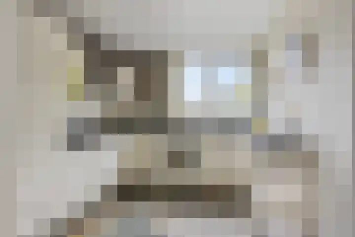 Burgemeet 35 Poortvliet thumbnail 13