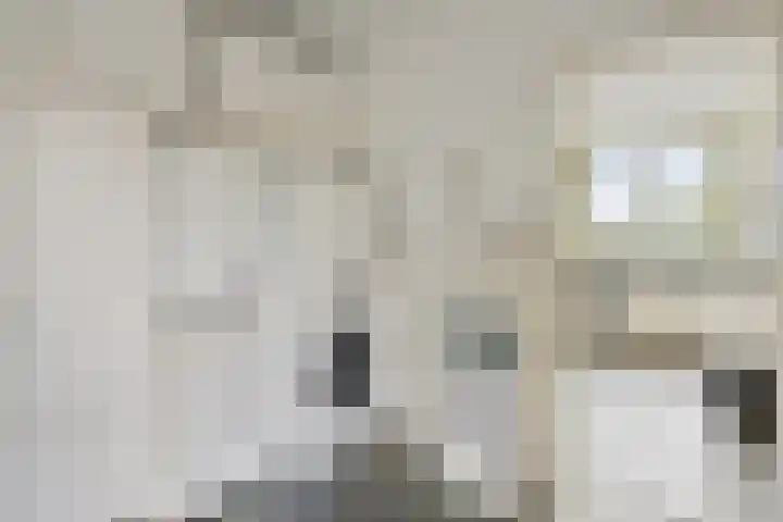 Burgemeet 35 Poortvliet thumbnail 14