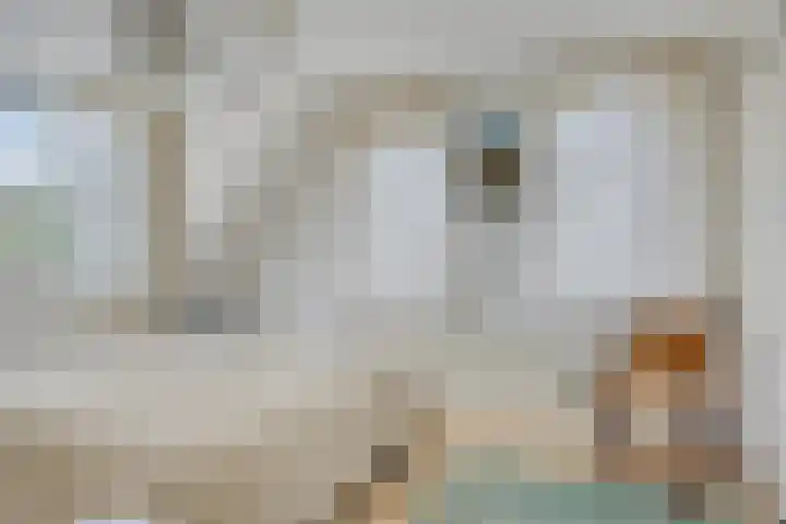 Burgemeet 35 Poortvliet thumbnail 19