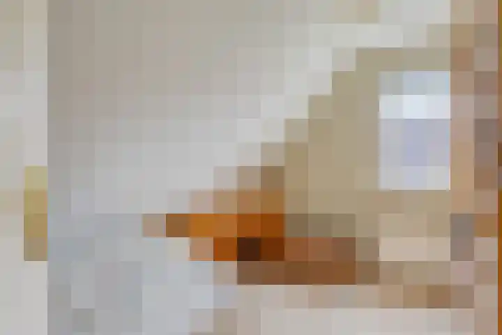 Burgemeet 35 Poortvliet thumbnail 20