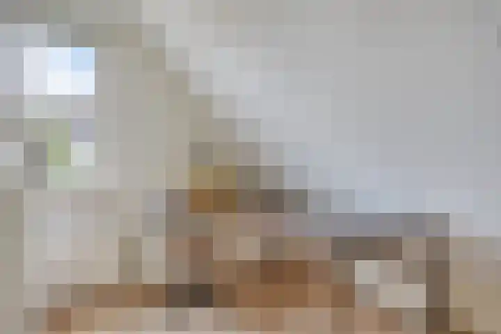 Burgemeet 35 Poortvliet thumbnail 22