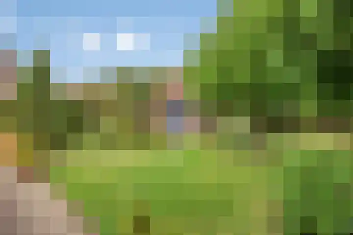 Burgemeet 35 Poortvliet thumbnail 25