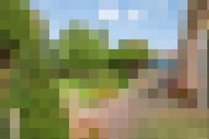 Burgemeet 35 Poortvliet thumbnail 27