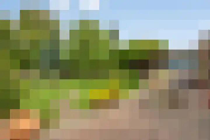 Burgemeet 35 Poortvliet thumbnail 28