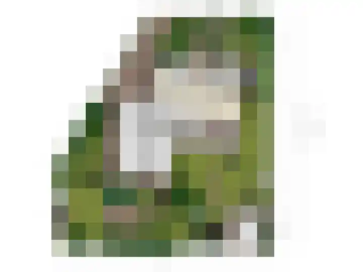 Burgemeet 35 Poortvliet thumbnail 30