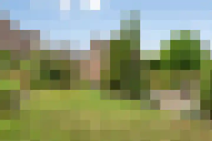 Burgemeet 35 Poortvliet thumbnail 31