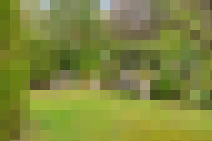 Burgemeet 35 Poortvliet thumbnail 32