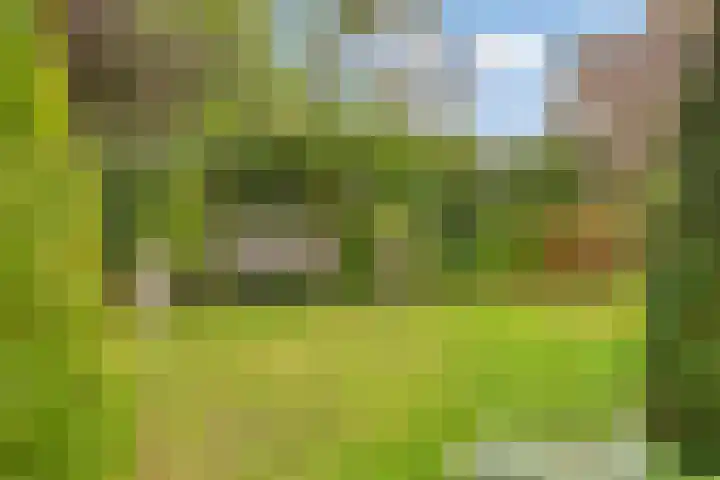 Burgemeet 35 Poortvliet thumbnail 33