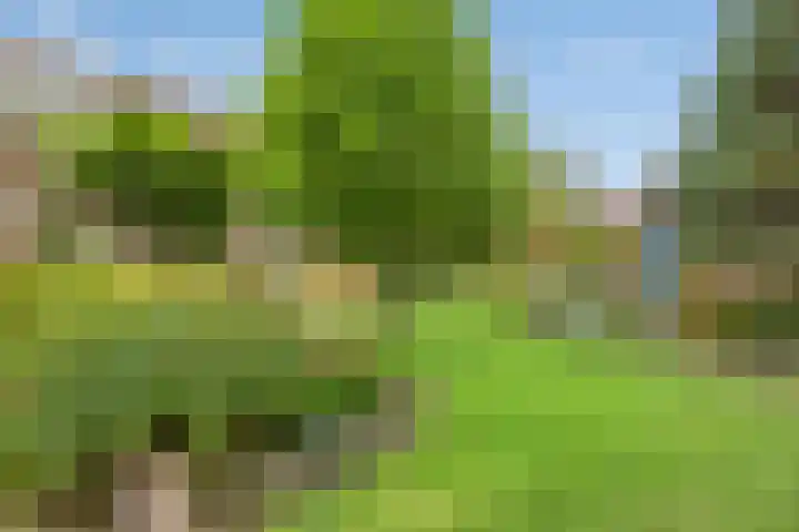 Burgemeet 35 Poortvliet thumbnail 34