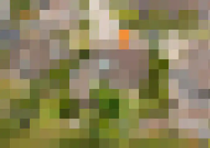 Burgemeet 35 Poortvliet thumbnail 35