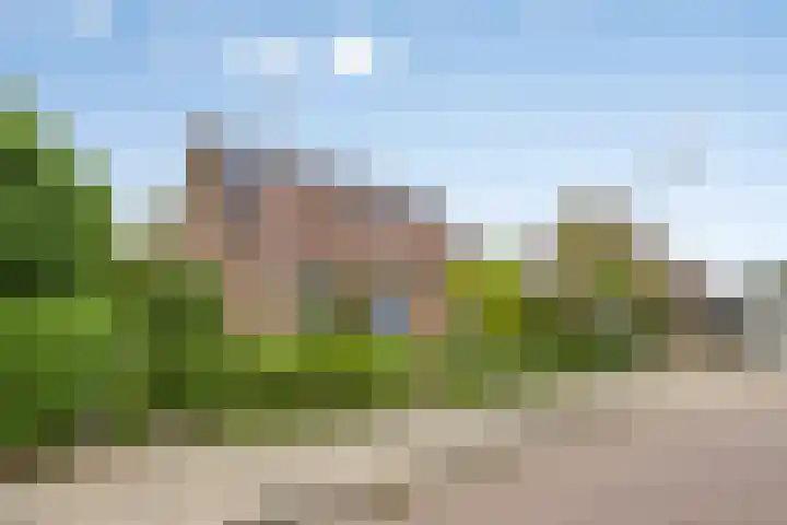 Burgemeet 35 Poortvliet thumbnail 37