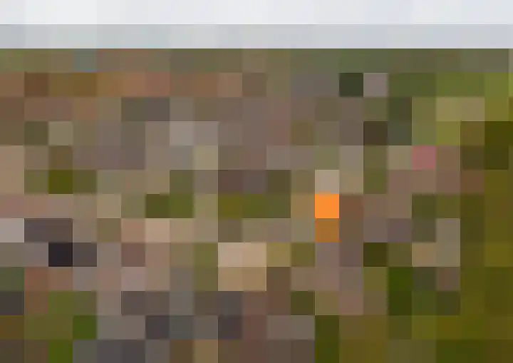 Burgemeet 35 Poortvliet thumbnail 38