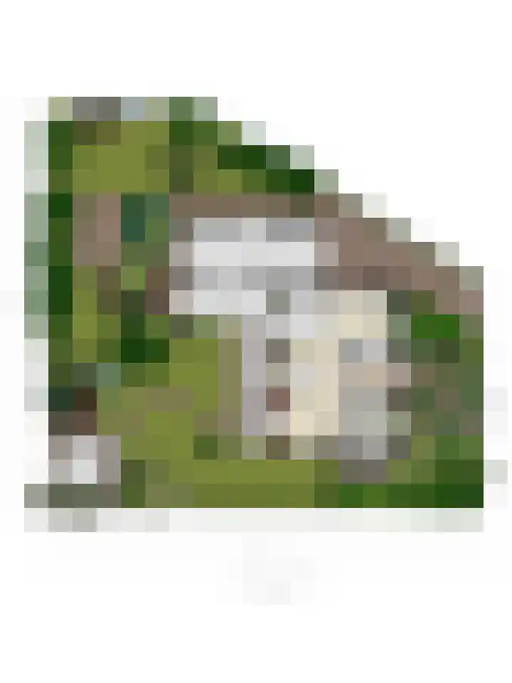 Burgemeet 35 Poortvliet thumbnail 42