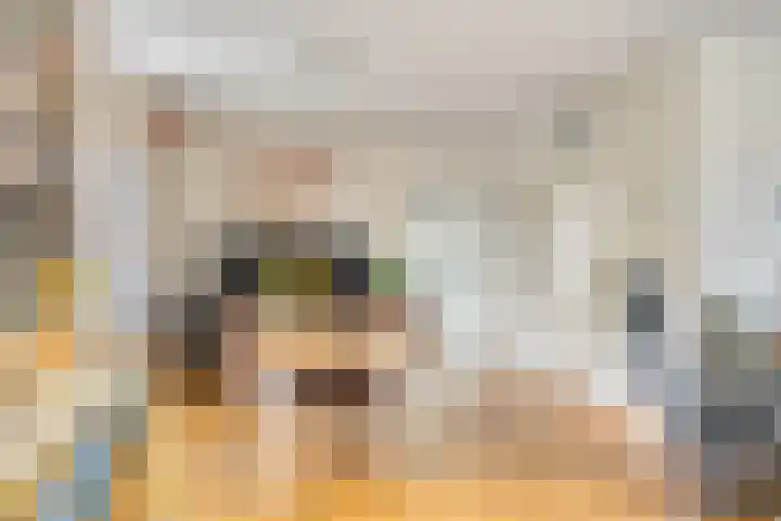Burgemeet 35 Poortvliet thumbnail 7