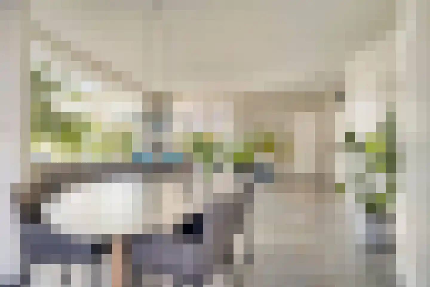 Burgemeet 46 Poortvliet thumbnail 15