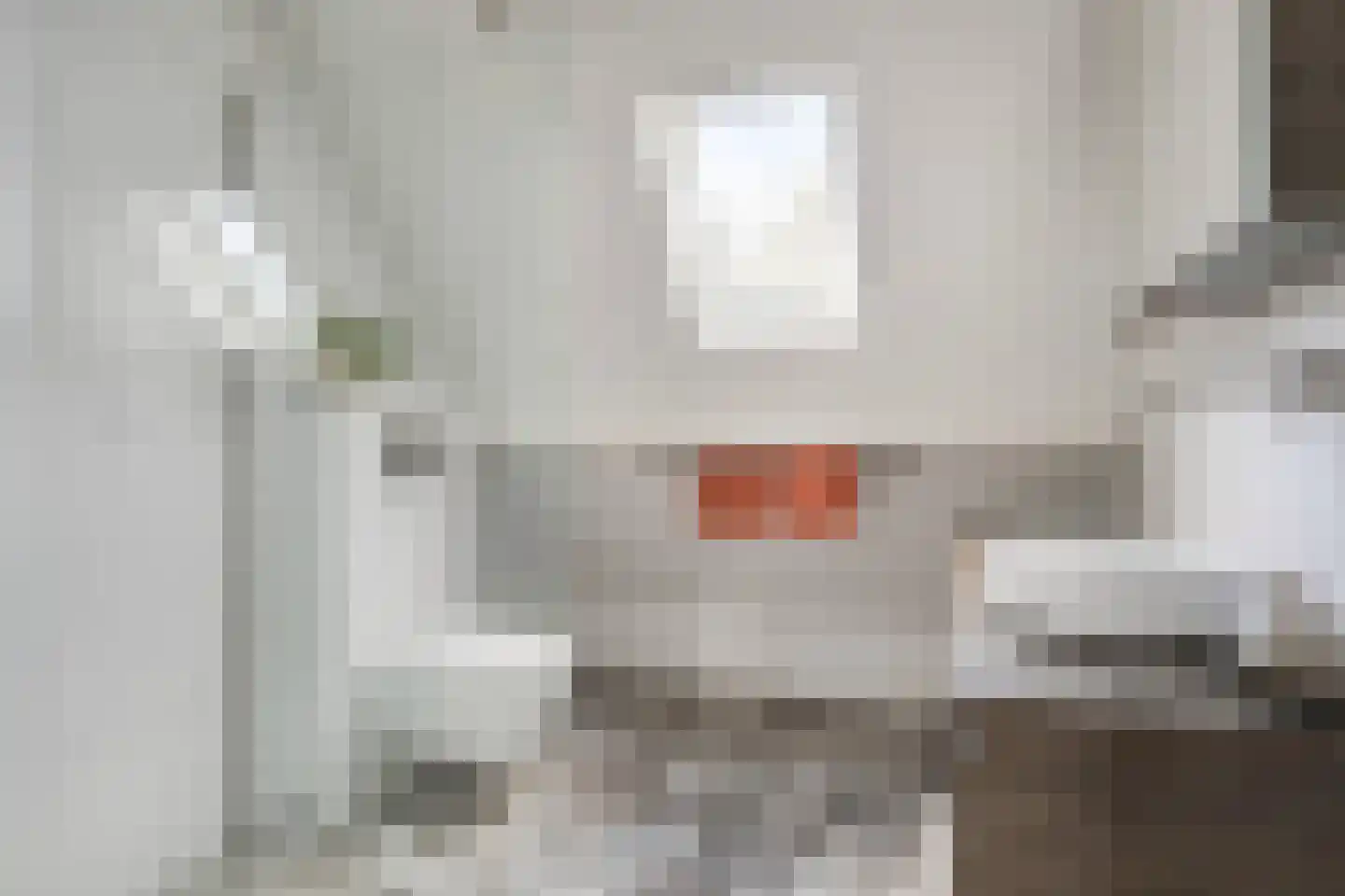 Burgemeet 46 Poortvliet thumbnail 24
