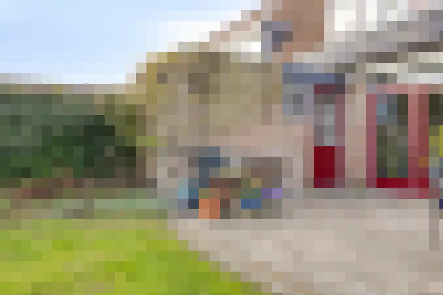 Burgemeet 46 Poortvliet thumbnail 32