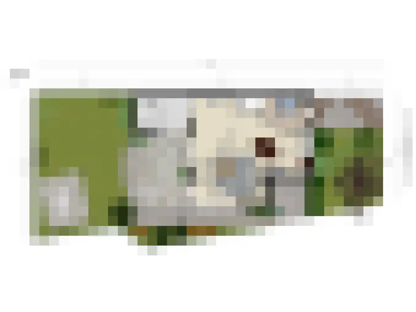 Burgemeet 46 Poortvliet thumbnail 34