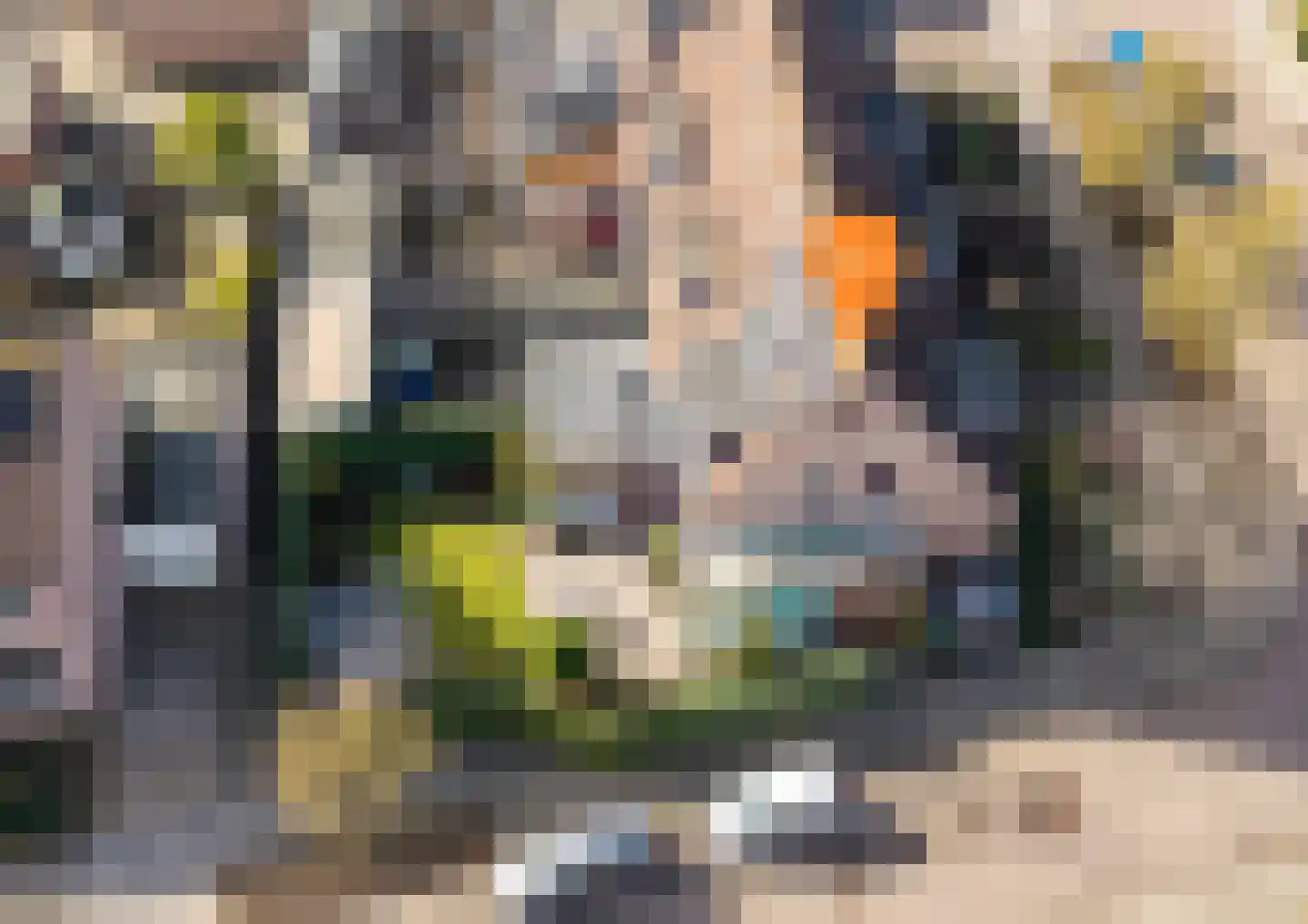 Burgemeet 46 Poortvliet thumbnail 37
