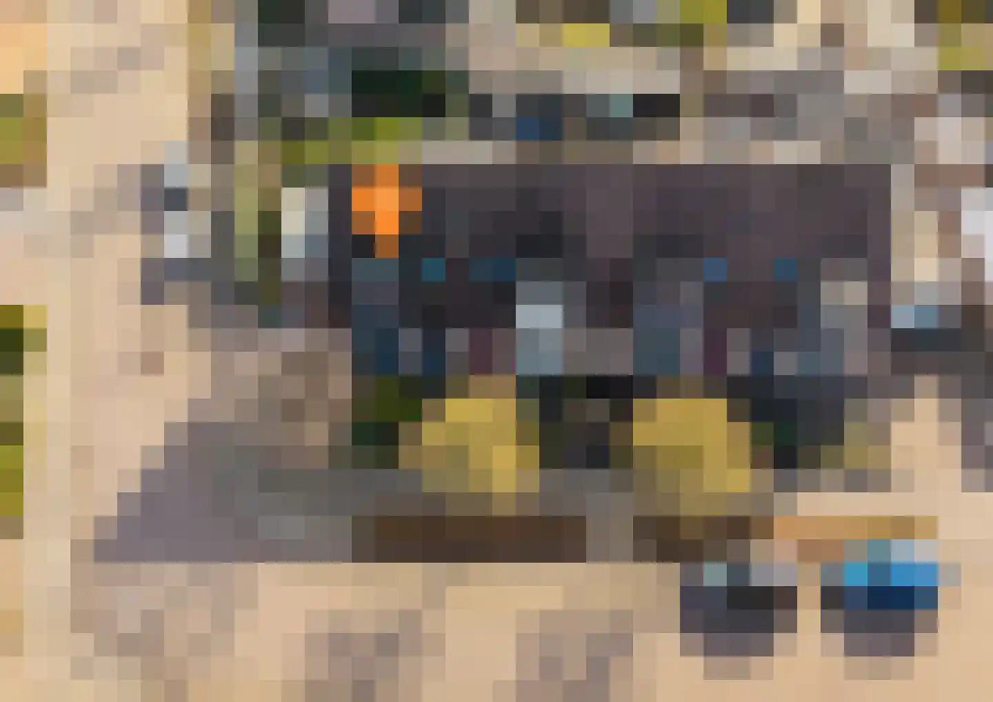 Burgemeet 46 Poortvliet thumbnail 39