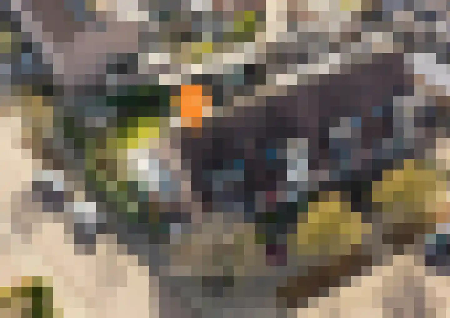 Burgemeet 46 Poortvliet thumbnail 40
