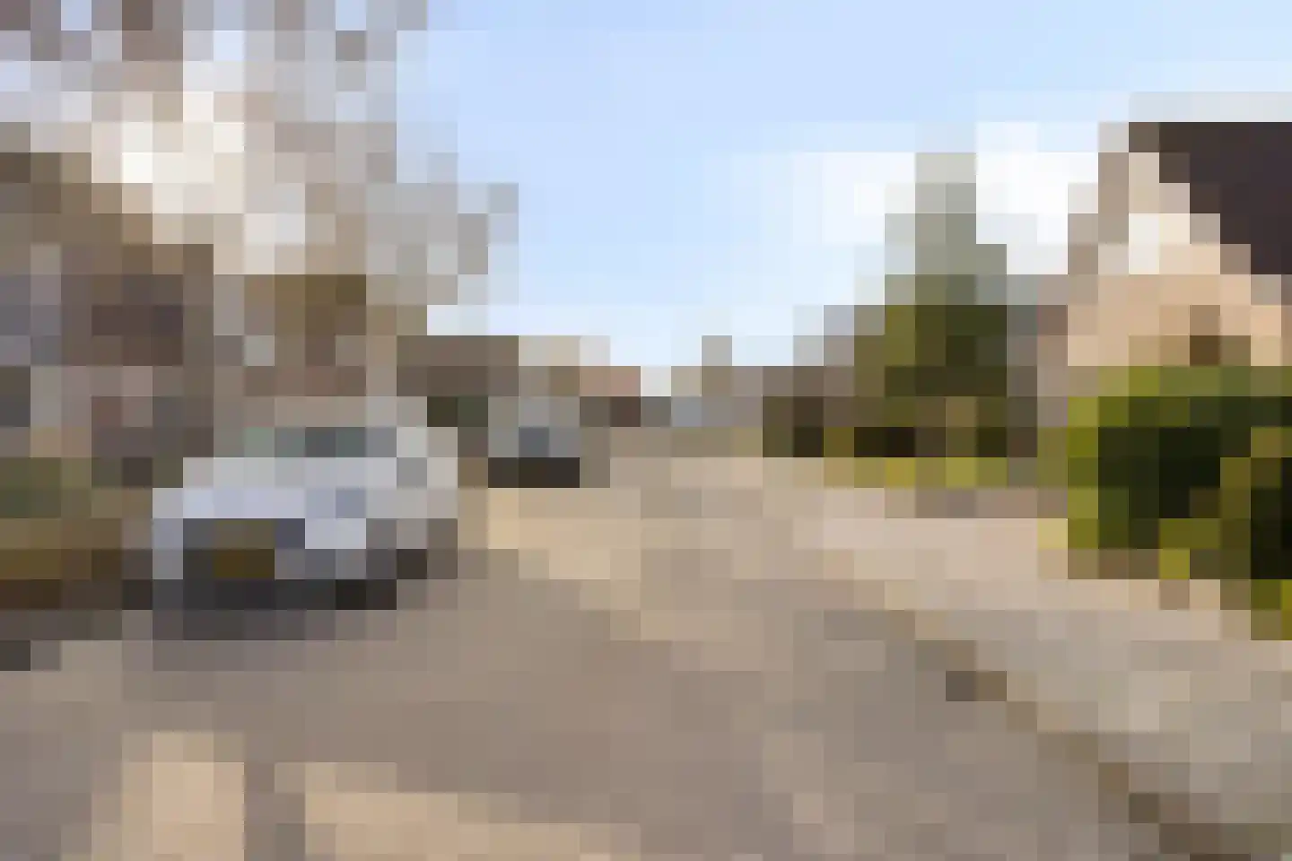 Burgemeet 46 Poortvliet thumbnail 41