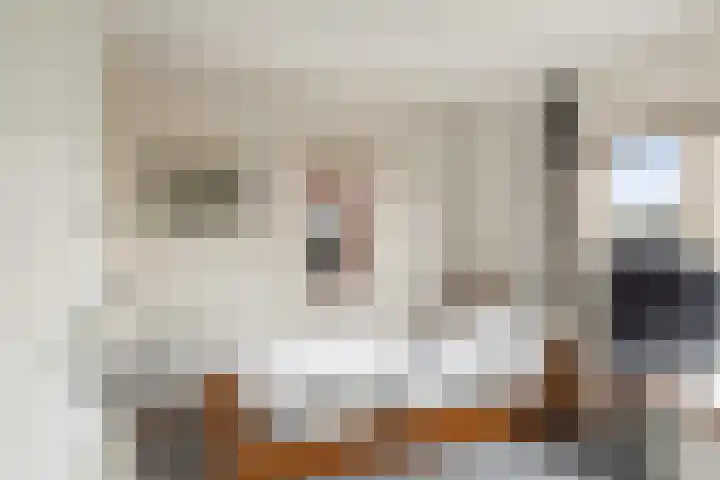 Burgerdijkstraat 5 Krimpen aan den IJssel thumbnail 17
