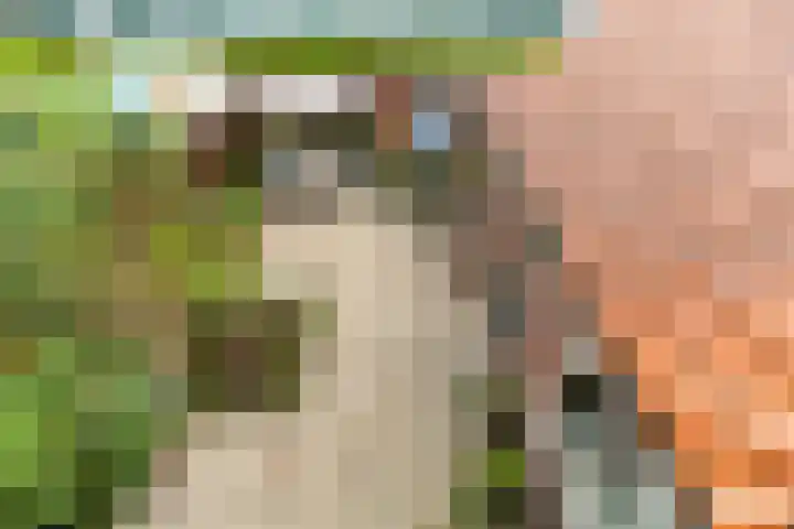 Burgerdijkstraat 5 Krimpen aan den IJssel thumbnail 18