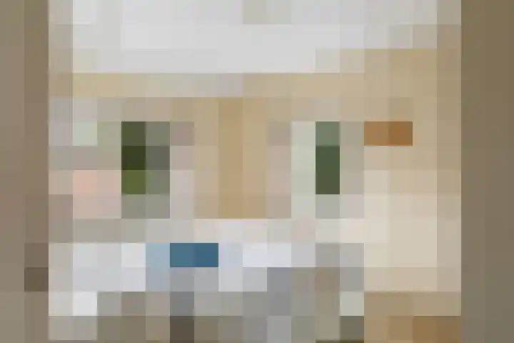 Burgerdijkstraat 5 Krimpen aan den IJssel thumbnail 22