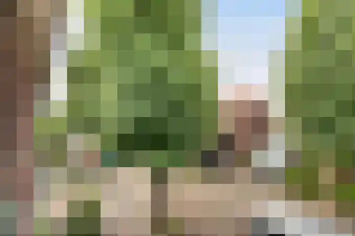 Burgerdijkstraat 5 Krimpen aan den IJssel thumbnail 23