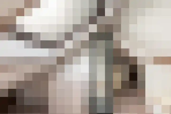 Burgerdijkstraat 5 Krimpen aan den IJssel thumbnail 26