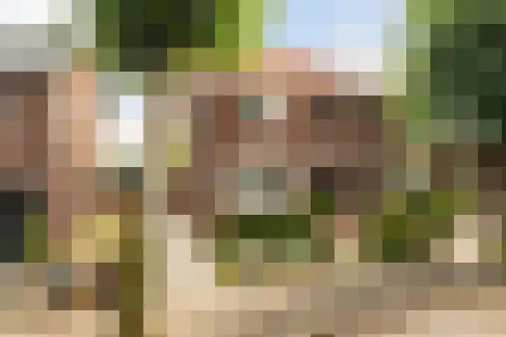 Burgerdijkstraat 5 Krimpen aan den IJssel thumbnail 28