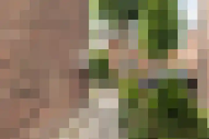 Burgerdijkstraat 5 Krimpen aan den IJssel thumbnail 31