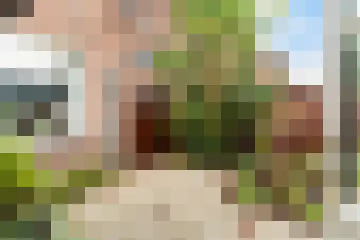Burgerdijkstraat 5 Krimpen aan den IJssel thumbnail 34