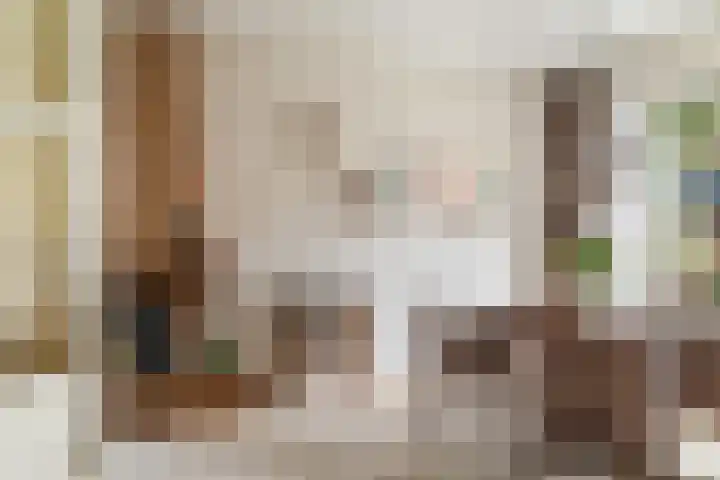 Burgerdijkstraat 5 Krimpen aan den IJssel thumbnail 5