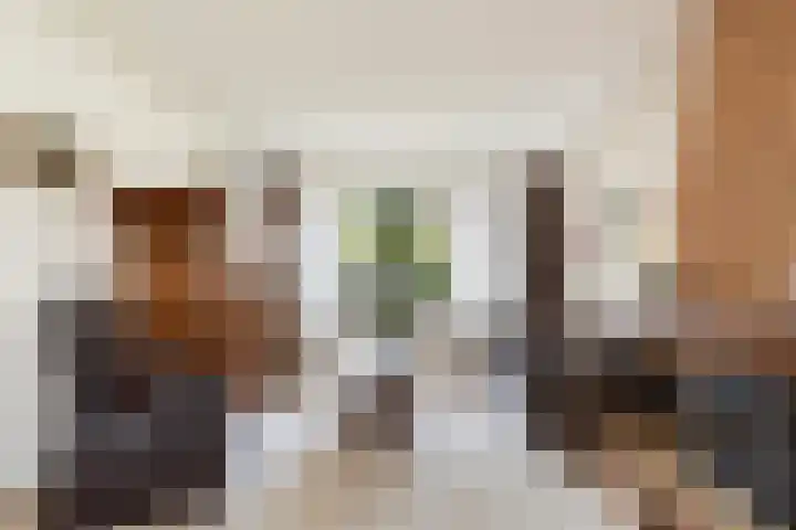 Burgerdijkstraat 5 Krimpen aan den IJssel thumbnail 7