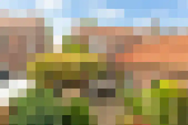 Burgerdijkstraat 7 Krimpen aan den IJssel thumbnail 16