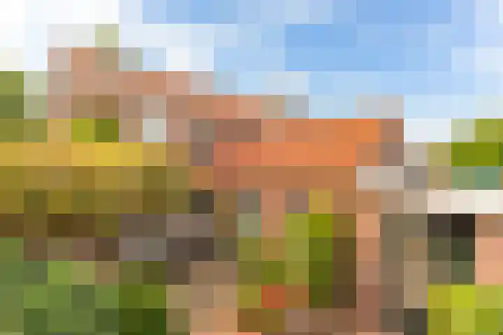 Burgerdijkstraat 7 Krimpen aan den IJssel thumbnail 17
