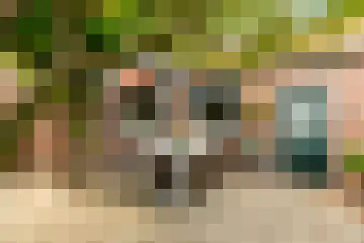 Burgerdijkstraat 7 Krimpen aan den IJssel thumbnail 19
