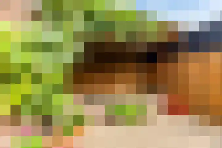 Burgerdijkstraat 7 Krimpen aan den IJssel thumbnail 21