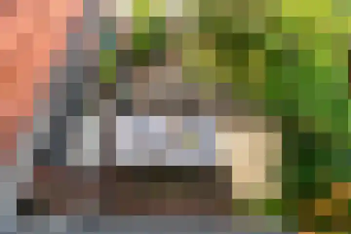 Burgerdijkstraat 7 Krimpen aan den IJssel thumbnail 30