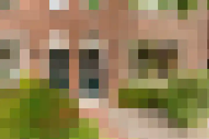 Burgerdijkstraat 7 Krimpen aan den IJssel thumbnail 38