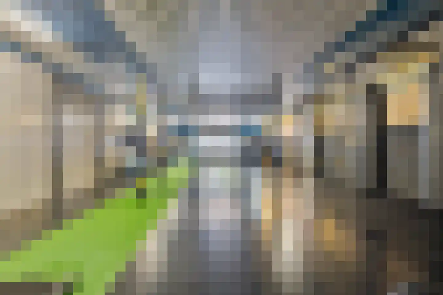 Burgerhoutsestraat 153 Roosendaal thumbnail 31