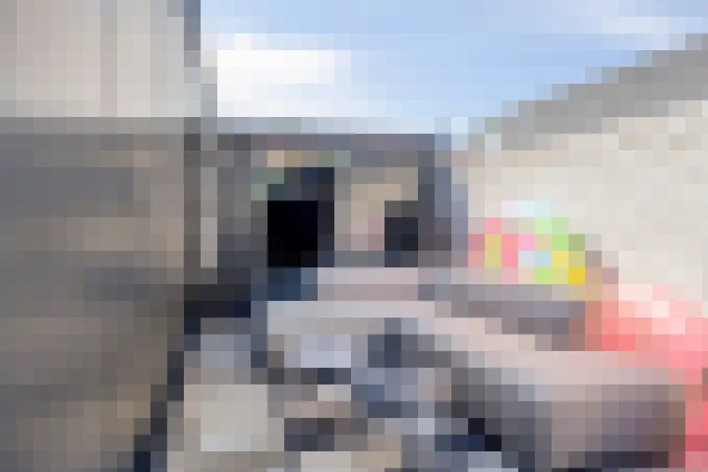 Burgerhoutsestraat 153 Roosendaal thumbnail 37