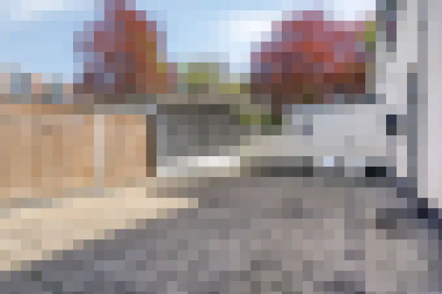 Burgerhoutsestraat 153 Roosendaal thumbnail 6
