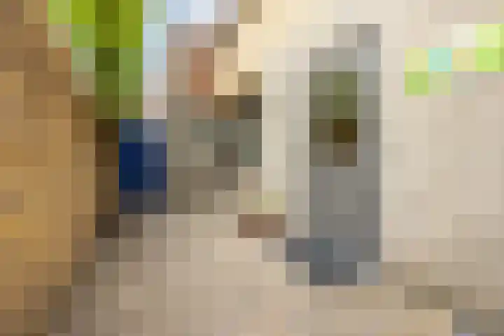 Burgerhoutsestraat 66 Roosendaal thumbnail 38